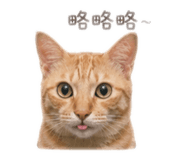 839763879