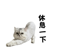 839764206