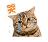 839764779
