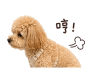 839765278