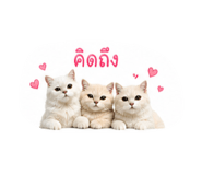 839765402