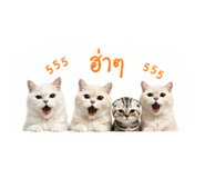 839765406