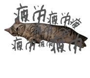 839766306