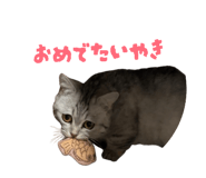 839766307