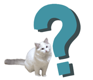 839766312