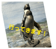 839766441