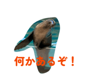 839766442