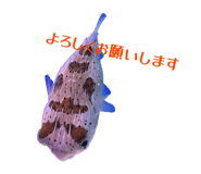839766443