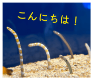 839766445