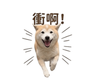 839766874