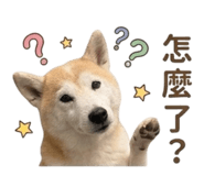 839766875