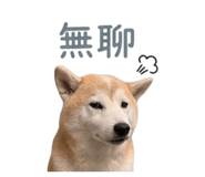 839766876
