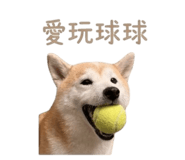 839766877