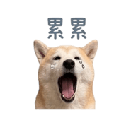 839766878