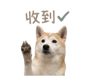 839766880