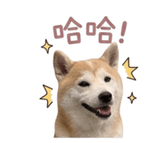 839766882