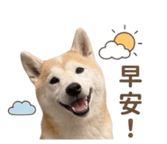 839766883