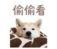 839766884