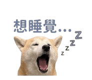 839766888