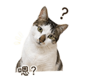 839767133