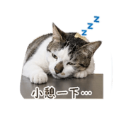 839767144