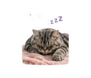 839767216