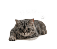 839767223