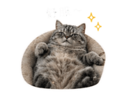 839767224