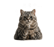 839767225