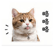 839767376