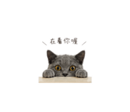 839767439