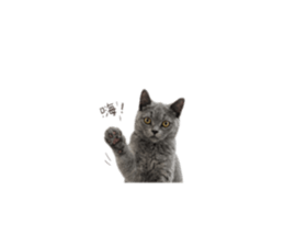 839767440