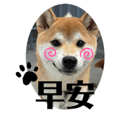 839767585