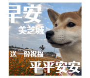 839767587