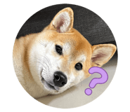839767619