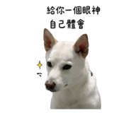 839767669