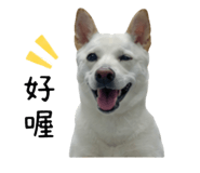 839767675