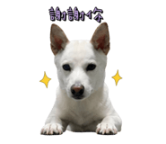 839767681
