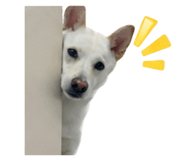 839767687
