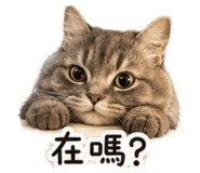 839768180