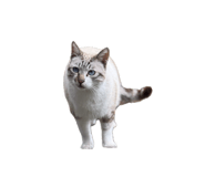 839768298