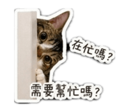 839768316