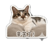 839768324