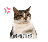 839768325