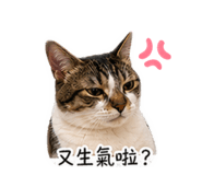 839768326