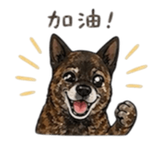 839768576