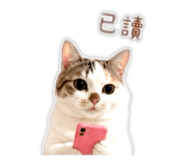 839768784