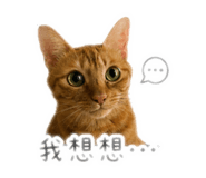839768862