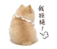 839769007