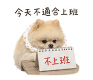 839769010